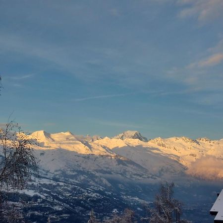 Appartement Aux Coches 6 Personnes 1 Chambre 23M2 8 Couchages La Plagne Kültér fotó